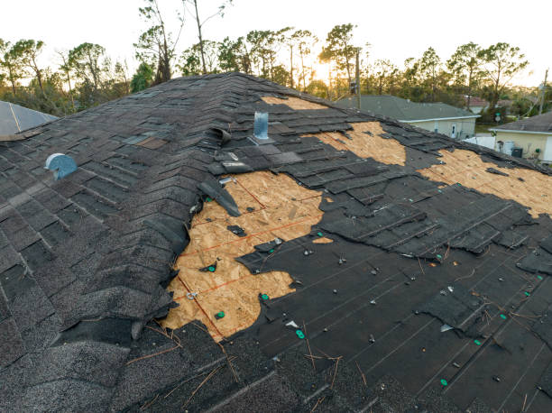 Roof Moss and Algae Removal in Silver Summit, UT